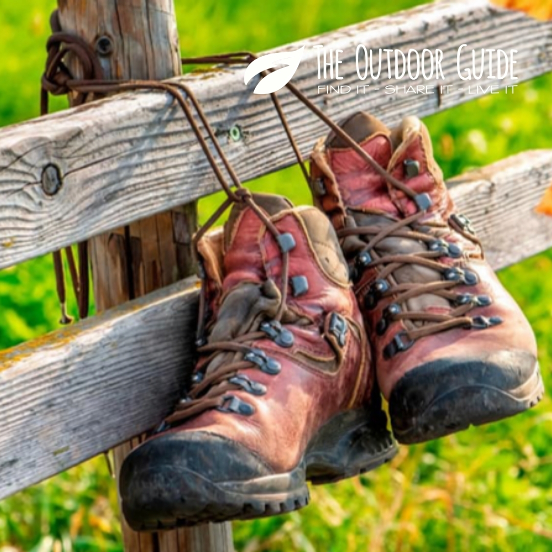 The Outdoor Guide tweet media