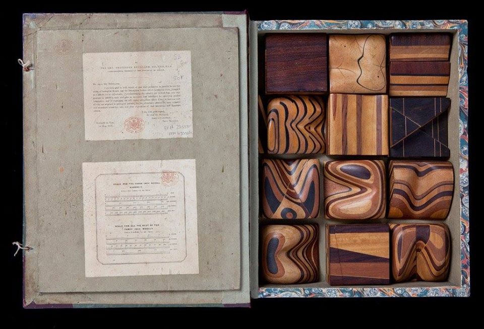 19th century wooden models of geological structures: