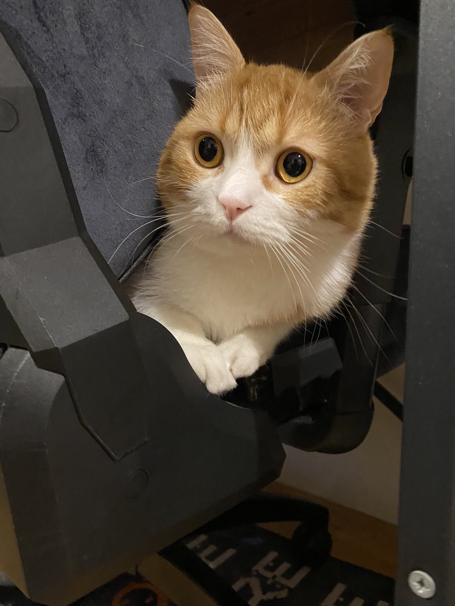 sevmiştin deme bari