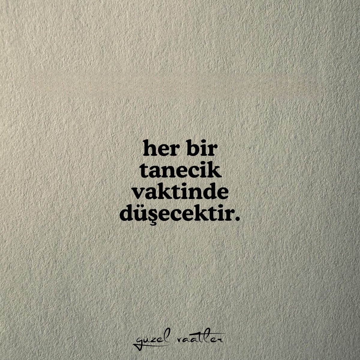 birbisnev's tweet photo. | şubat,12 https://t.co/bXV2FhPqAi