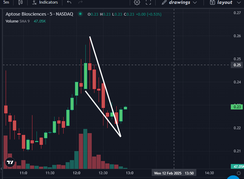 CoachNickMoney's tweet photo. $APTO is busting loose from this bullish descending wedge! https://t.co/ee2UezfYMW