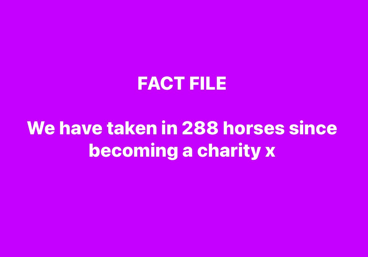 Horse Sense Wirral Charity #1152111 (@horsesensew) on Twitter photo 