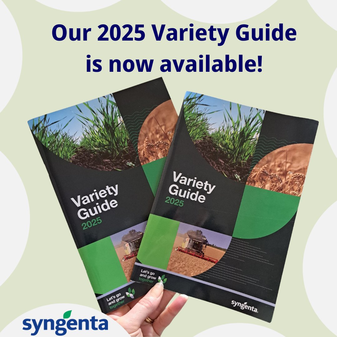 Plan for spring 2025! Explore our variety guide to select the best variety for your farm 🌱 📘 Download it from our website homepage 👉 syngenta.co.uk #Spring2025 #VarietyGuide
