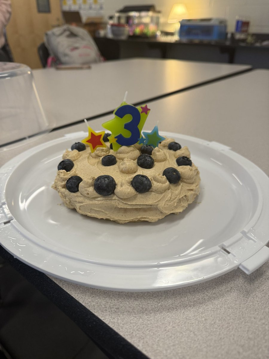 L2IC (@l2ic_cate) on Twitter photo Today, we celebrated a very special member of our Small Animal Science family—Rhett, our class dog! 🐶💙 Students had fun planning this paw-some day. From baking homemade dog treats to decorating the room, they pulled off a great party. #smallanimalscience <a href="/LexingtonTwo/">Lexington District Two</a> 🦴 Today, we celebrated a very special member of our Small Animal Science family—Rhett, our class dog! 🐶💙 Students had fun planning this paw-some day. From baking homemade dog treats to decorating the room, they pulled off a great party. #smallanimalscience <a href="/LexingtonTwo/">Lexington District Two</a> 🦴