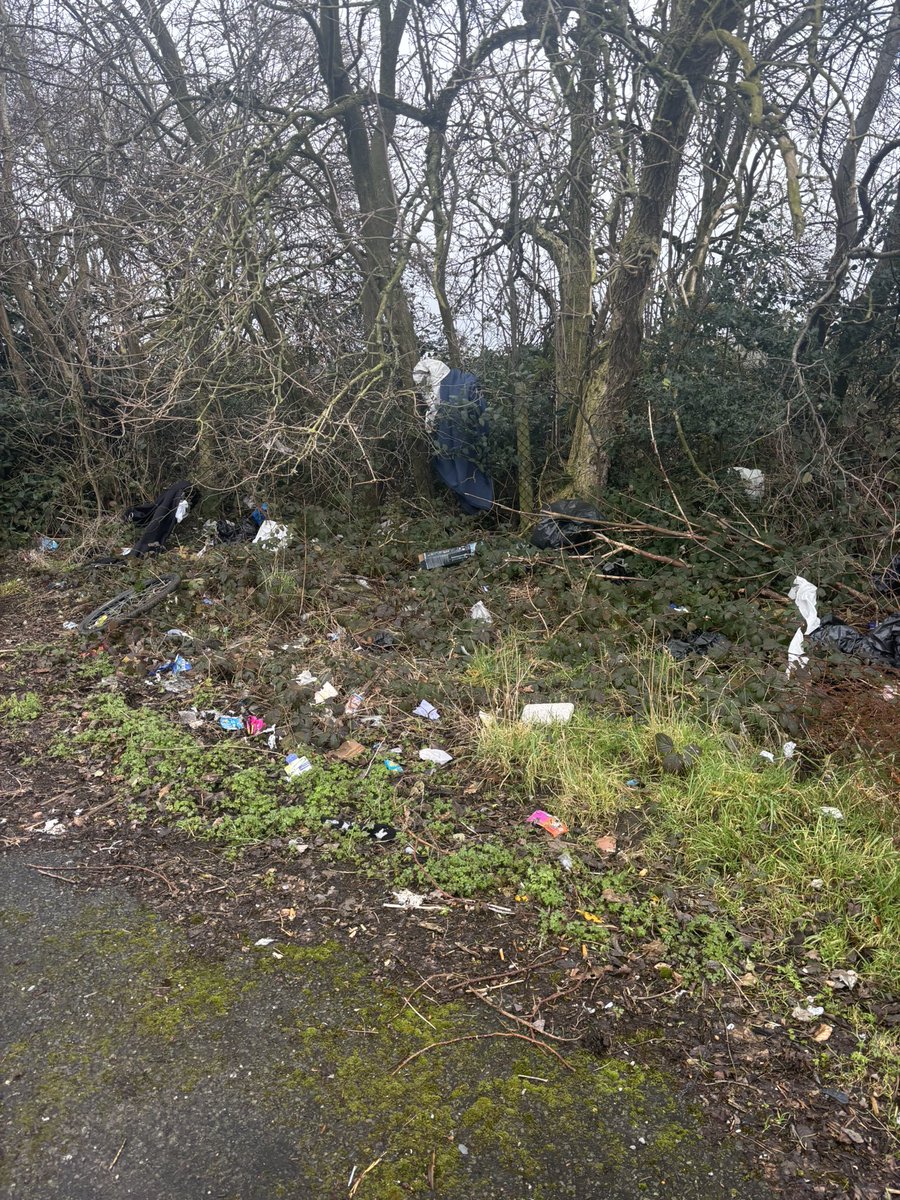 jane_affleck's tweet photo. @TamesideCouncil please can you advise when a Neighbourhood Officer will be dealing with this? https://t.co/pTxmIFR9b6