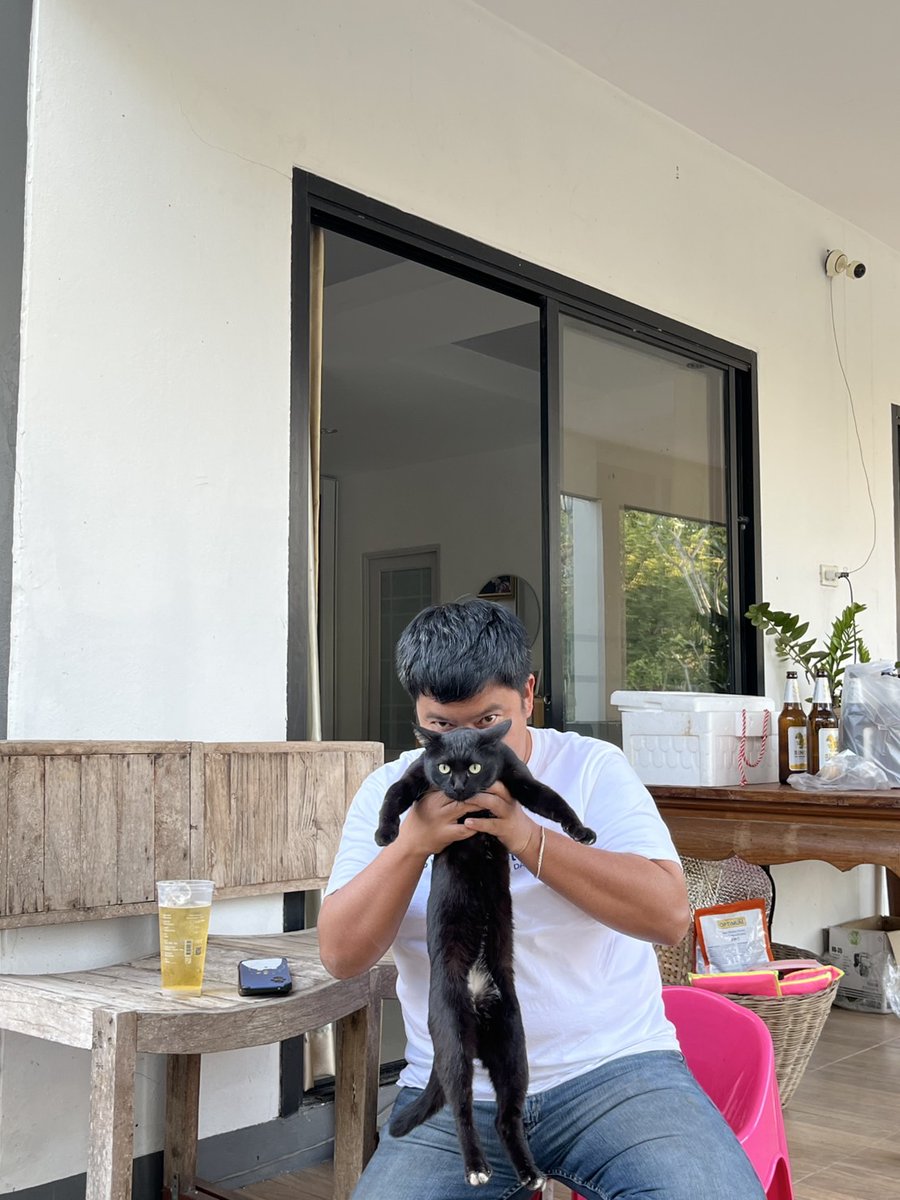NOOKsd57's tweet photo. มาดูแมวห้องเราไหม 😹

#แมว #โสดโปรดจีบ https://t.co/EEDTcaWxzf