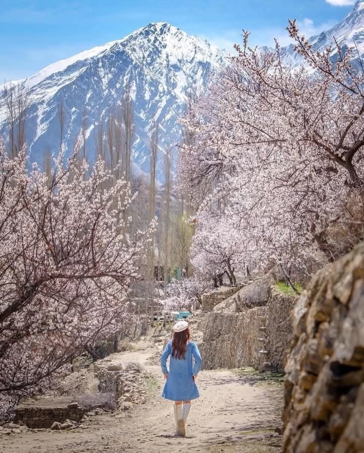 haider14125's tweet image. Soon Gilgit Baltistan will look like this 🌸
Blossom a new beginning
#gilgit #baltistan #ElonMusk #bbvipal #JAKE #INDvsENG #LingOrm #SB19 #JAKE_IN_TRISAKTI #sstvi