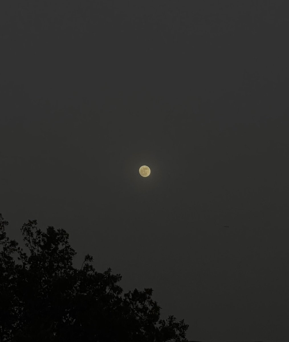lsky38's tweet image. Full Moon
