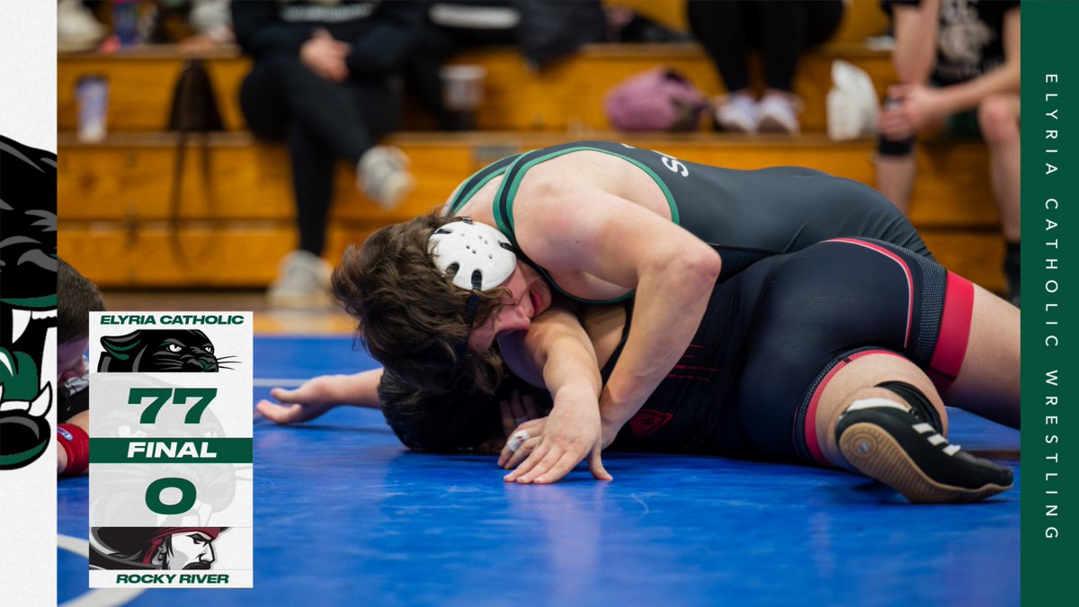 Elyria Catholic Athletics tweet media