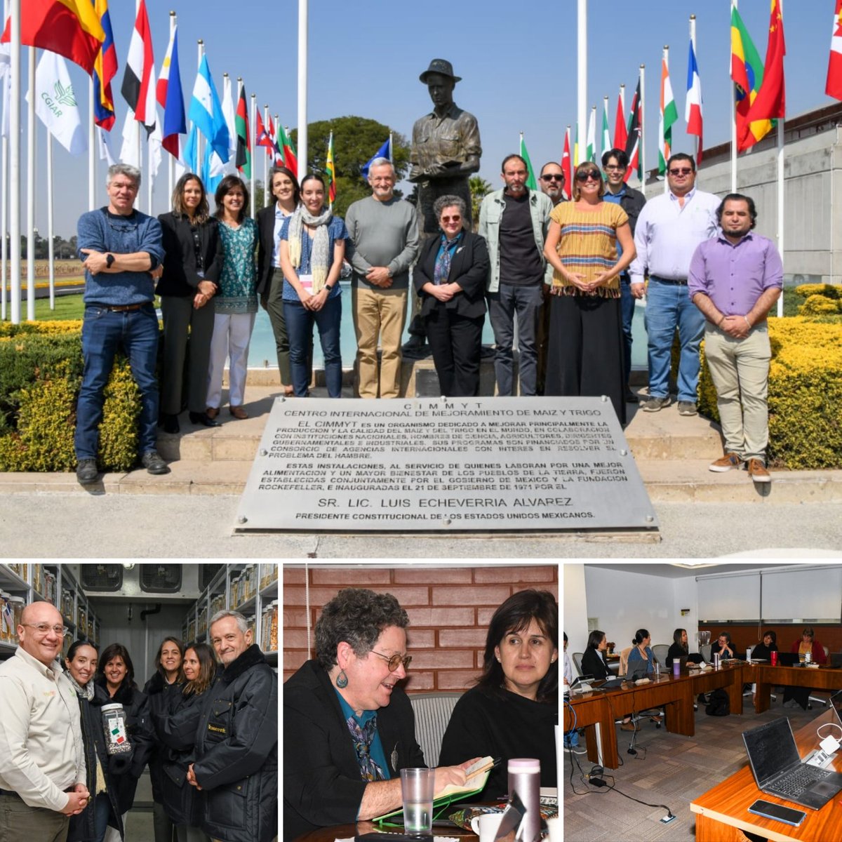 El cambio climático y la seguridad alimentaria exigen respuestas integradas. Con apoyo de @WellcomeTrust, <a href="/CIMMYT/">CIMMYT</a>, <a href="/CornellCALS/">Cornell CALS</a> y <a href="/inspmx/">INSP México</a> unimos esfuerzos para co-diseñar políticas que protejan la salud y la alimentación en México. ¡Comprometidos con soluciones que nutran!