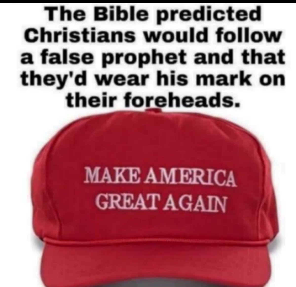 Don Winslow (@donwinslow) on Twitter photo 