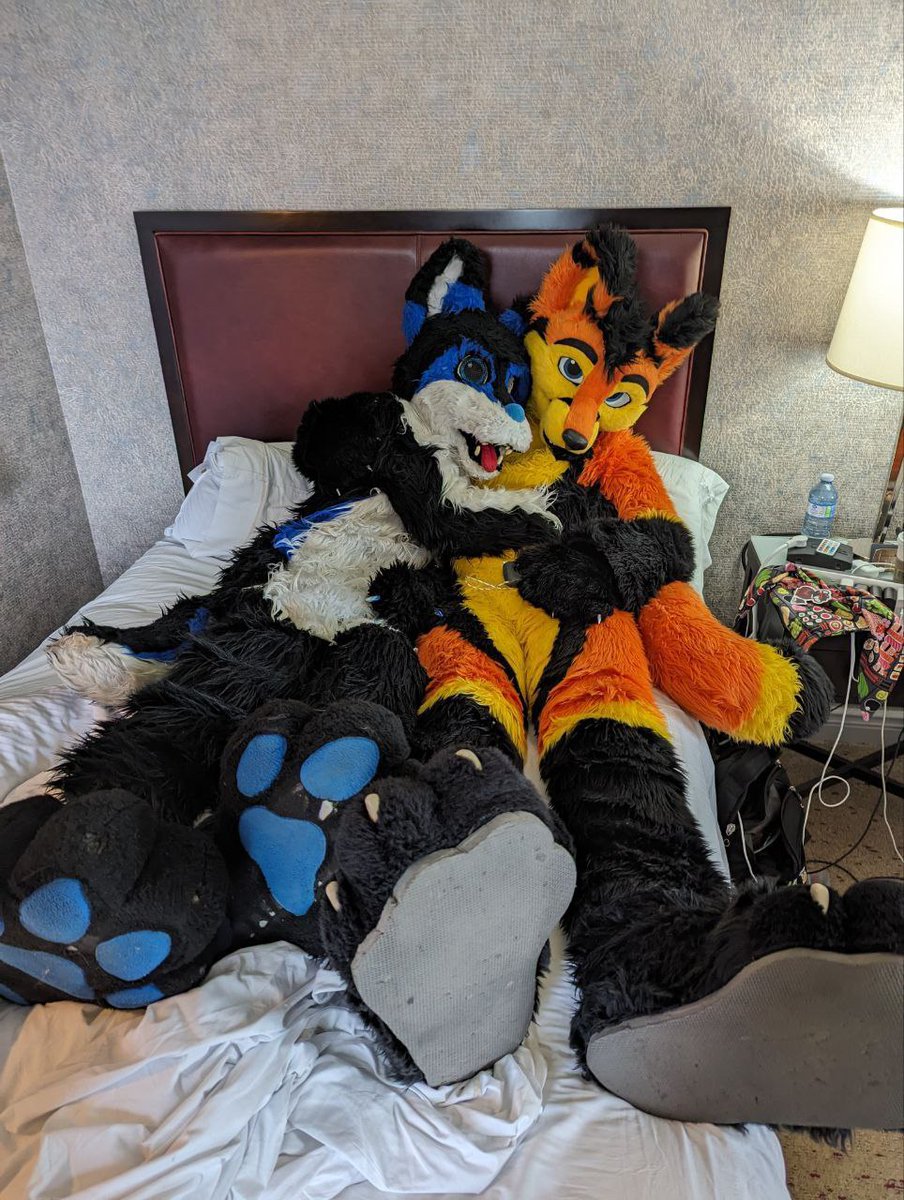 Could wusky have more  cuddles pls ?  👉👈 I kinda miss them right now