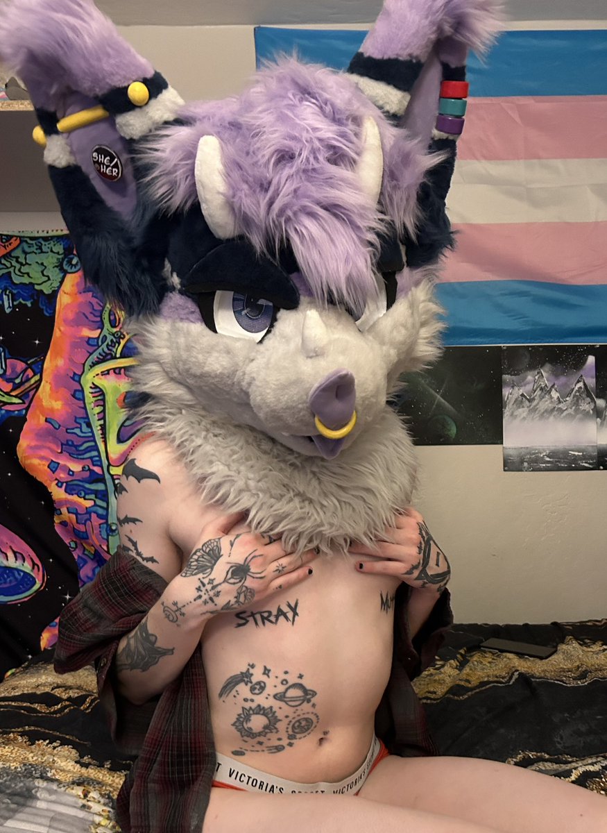 ☆ 𝐈𝐨 ☆ tweet media