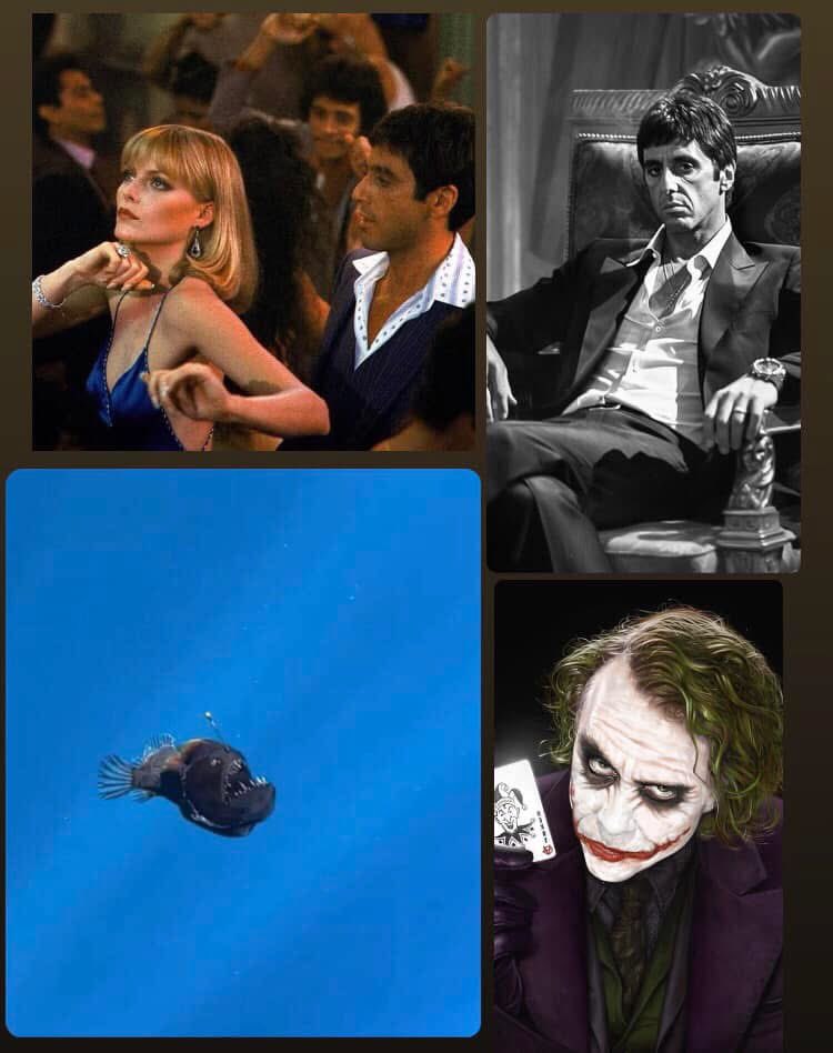 RORISTE's tweet image. Sabes que leeras una frase super pndja cuando ves estas imágenes: