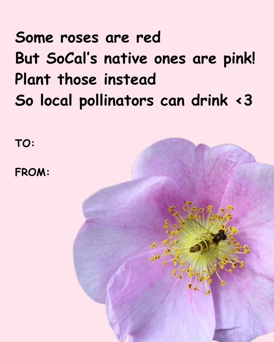 TreePeople tweet media