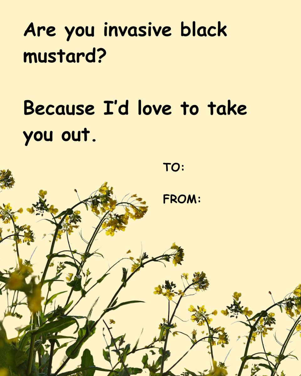 TreePeople tweet media