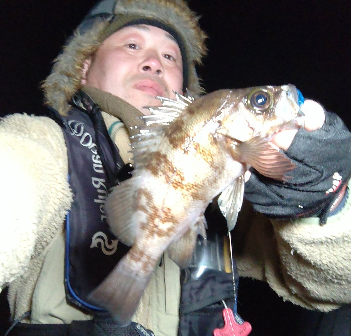 ozaki_garyu's tweet photo. 令和7年2月12日　相馬

メバル5匹
MAX21cm

#PR #OceanRuler #レンジキープVRmini 1g #リグデザイン #アージ #リブリブ #waum #ワウムシャッド40 #ハリクラフト #ゆるふわヘッド 0.3g #リグデザインメジャー #FIDELITY #Azusa96MH
#Megabass #礁楽SL82MLS #フロート 10g 20g #福島県 #相馬港 #メバル https://t.co/0R3jvcAAG5