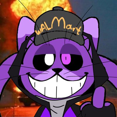 #NewProfilePic did I do it right? #walmartcatnap