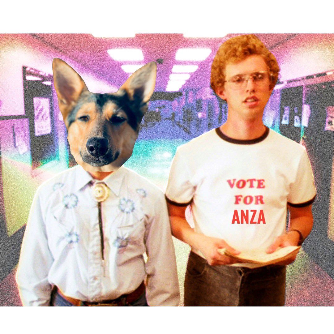 Ms_Vegan's tweet image. Vote For Anza 

americasfavpet.com/2025/anza-3709/ 
#dogs #voteforpedro #GermanShepherd #doglovers #dogs