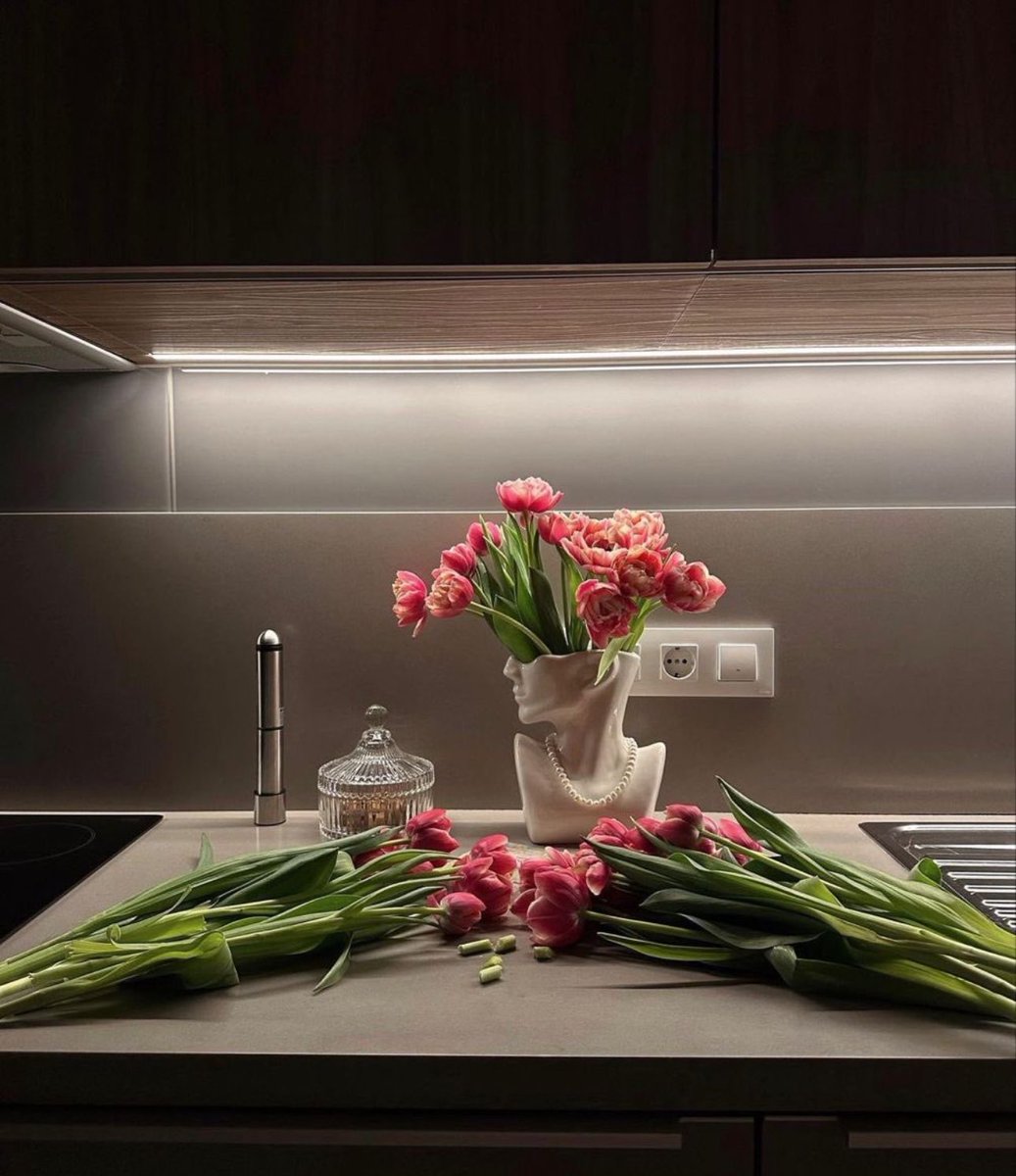 i3Moment's tweet photo. Tulips 🌷 https://t.co/KdC4wI9QHF