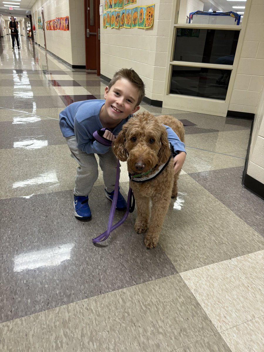 Rory helps Fort Miami students take breaks throughout the day, encouraging them to use their coping skills to reset and be ready to learn!   #certifiedtherapydog #wearemaumee #MentalHealthMatters <a href="/maumee_schools/">Maumee City Schools</a>