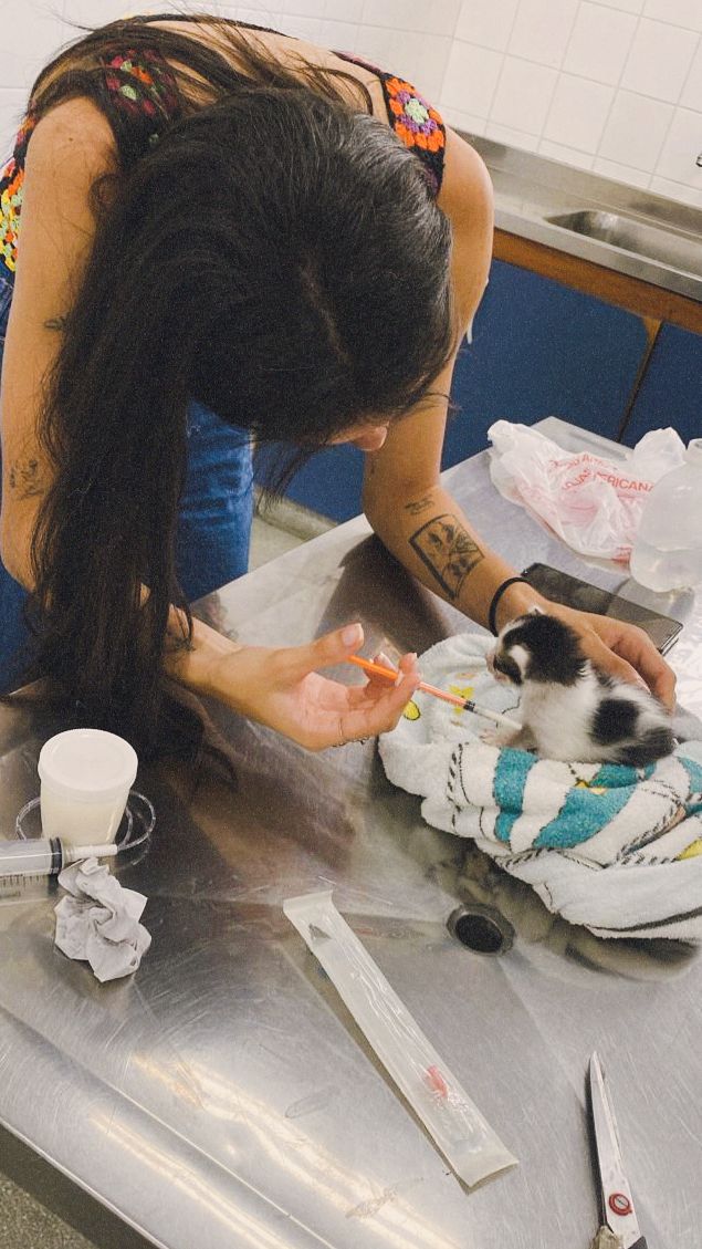 jujebinha's tweet image. a vida fora do twitter