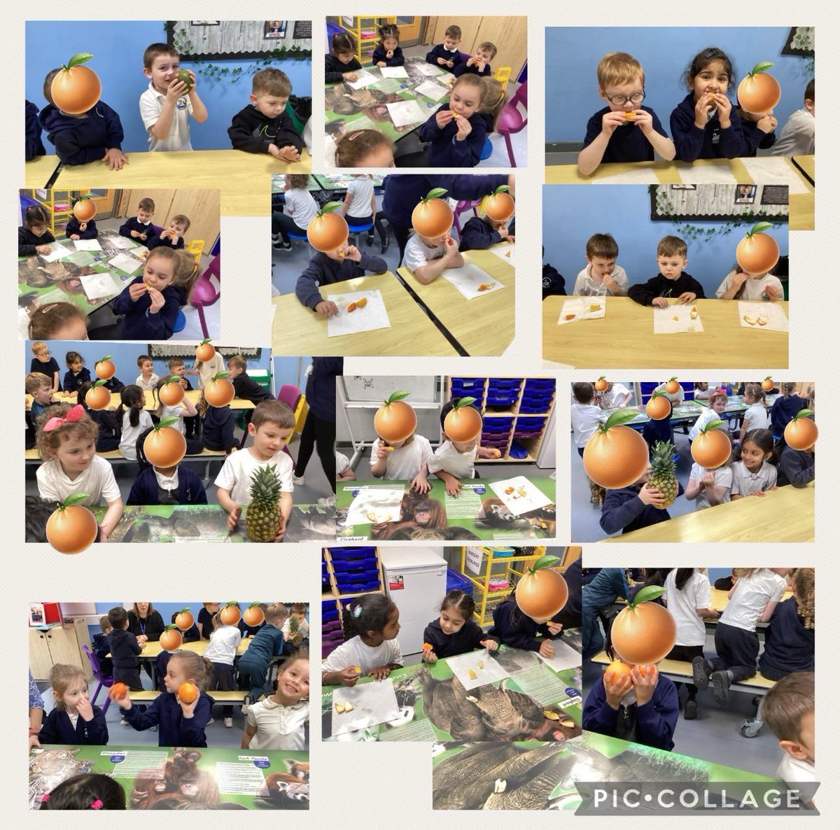 Highfields Spencer Academy tweet media