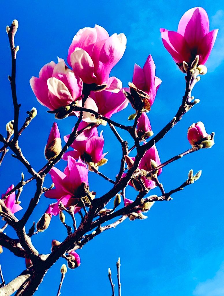 mooncougar61's tweet image. Happy Valentines 💝 day Tamron and guests #happyvalentine2025 #Beegood #SweetMagnolias @SweetMagnolias  😂 😎💅🫶💝