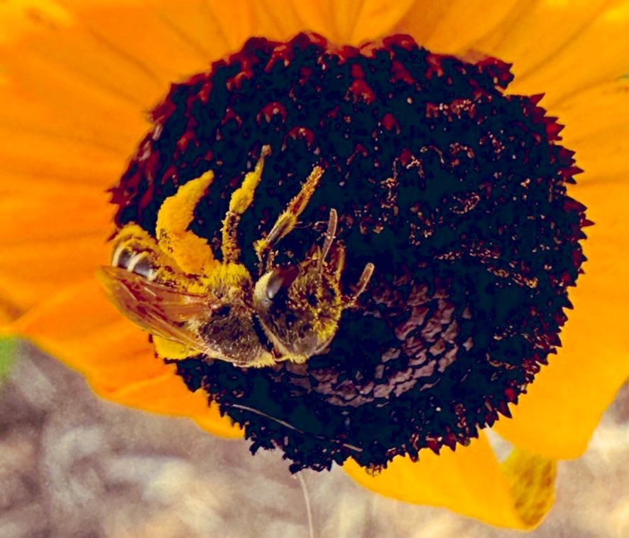 mooncougar61's tweet image. Happy Valentines 💝 day Tamron and guests #happyvalentine2025 #Beegood #SweetMagnolias @SweetMagnolias  😂 😎💅🫶💝