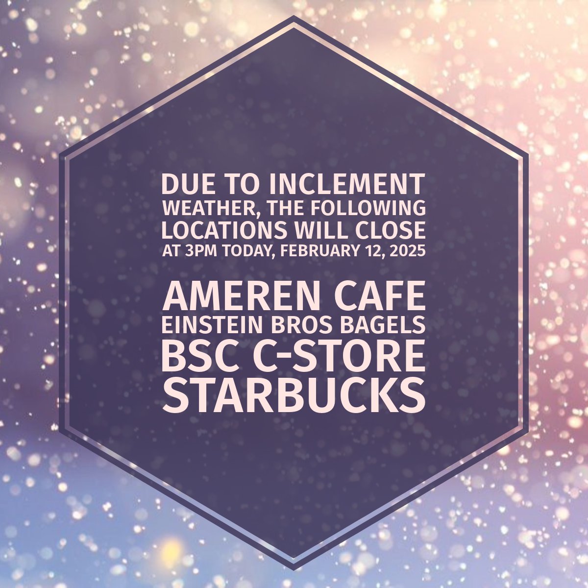 Due to the inclement weather, we will be closing some of our locations at 3pm today. Stay safe out there, Billikens!