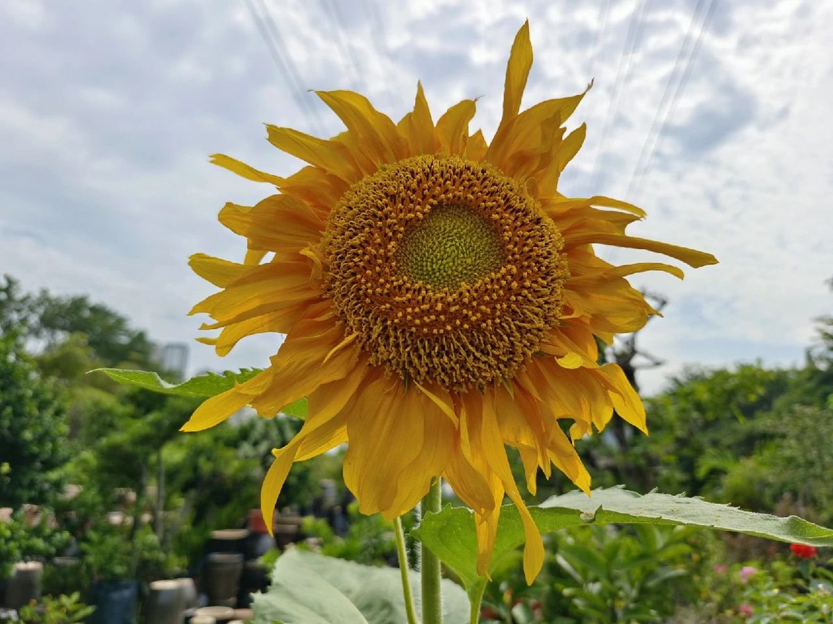 人生は簡単ではないけど、最大限に生きることが大切です🌈🔥