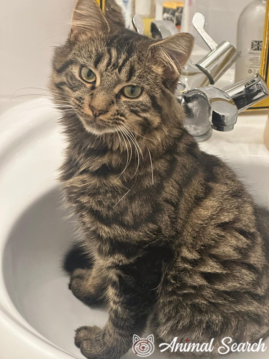 FUDGEPUSS. Formerly Pingoo's account. Pingoo OTRB tweet media