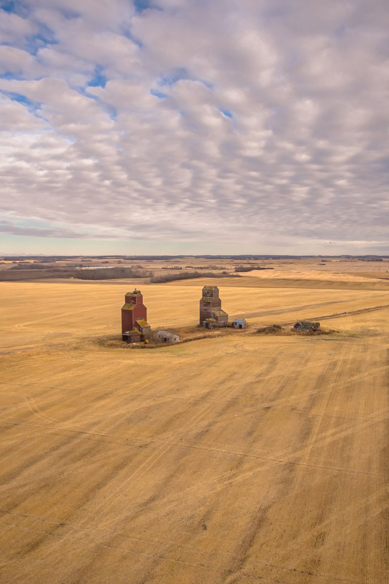 Dave W Plummer tweet media