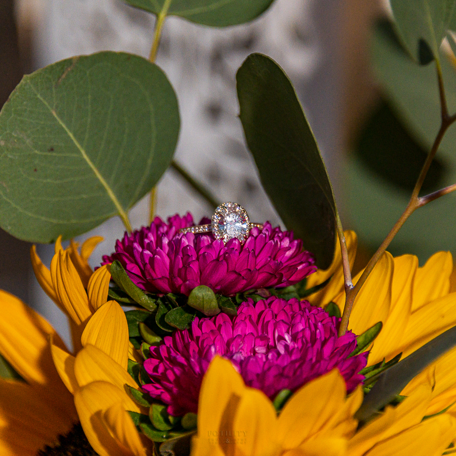 Fotility tweet media