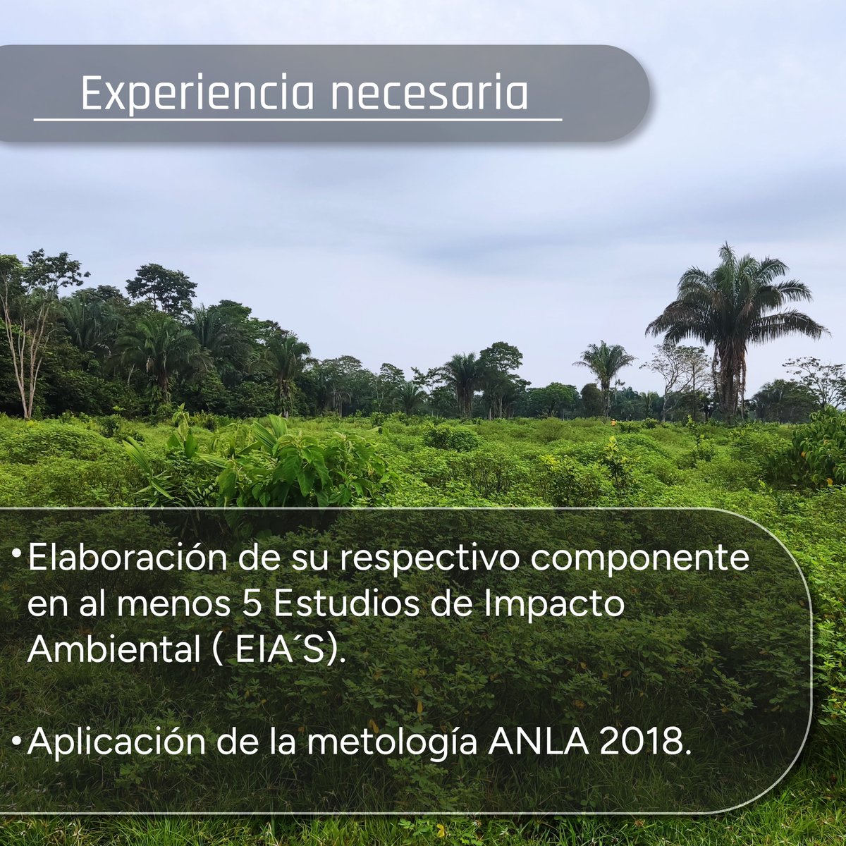 Consga_'s tweet photo. 📢 Estamos en búsqueda de aliados expertos en: Suelos, Geomorfología, Paisaje, Servicios ecosistémicos, Plan de Gestión del Riesgo y de Contingencia
Si cuentas con experiencia en alguno de estos componentes, envíanos tu información a proveedores@consga.com.co 
#OportunidadLaboral https://t.co/SVwqNnuSlW