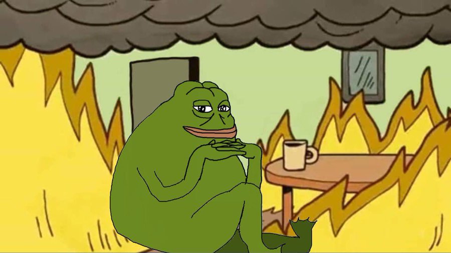 GroyperEthereum's tweet photo. #Groyper never quits. We have been here before but we always stay Groyping. https://t.co/KRfLVFaodn