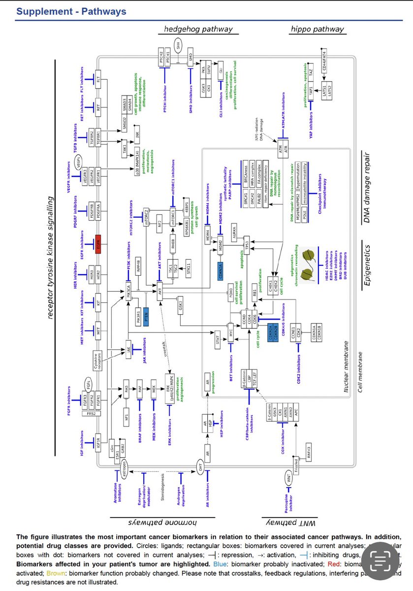 Wafik S. El-Deiry, MD, PhD, FACP (@weldeiry) on Twitter photo Much input including new ideas to consider at a special <a href="/WIN_Consortium/">WIN Consortium</a> MTB discussion for a challenging case of aggressive glioblastoma treated with vaccines and immunotherapy. Drivers include PTEN deletion, EGFR amplification, EGFR vIII, CDKN2A/B, MTAP deletion. Technologies Much input including new ideas to consider at a special <a href="/WIN_Consortium/">WIN Consortium</a> MTB discussion for a challenging case of aggressive glioblastoma treated with vaccines and immunotherapy. Drivers include PTEN deletion, EGFR amplification, EGFR vIII, CDKN2A/B, MTAP deletion. Technologies