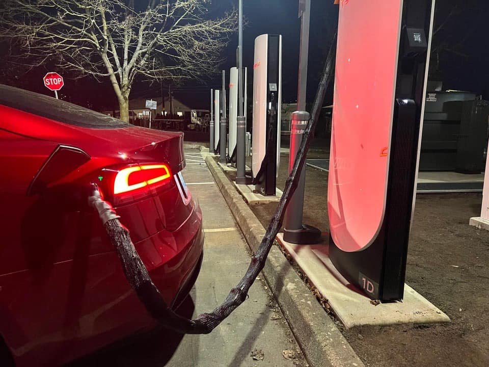 Drive Tesla 🇨🇦 tweet media