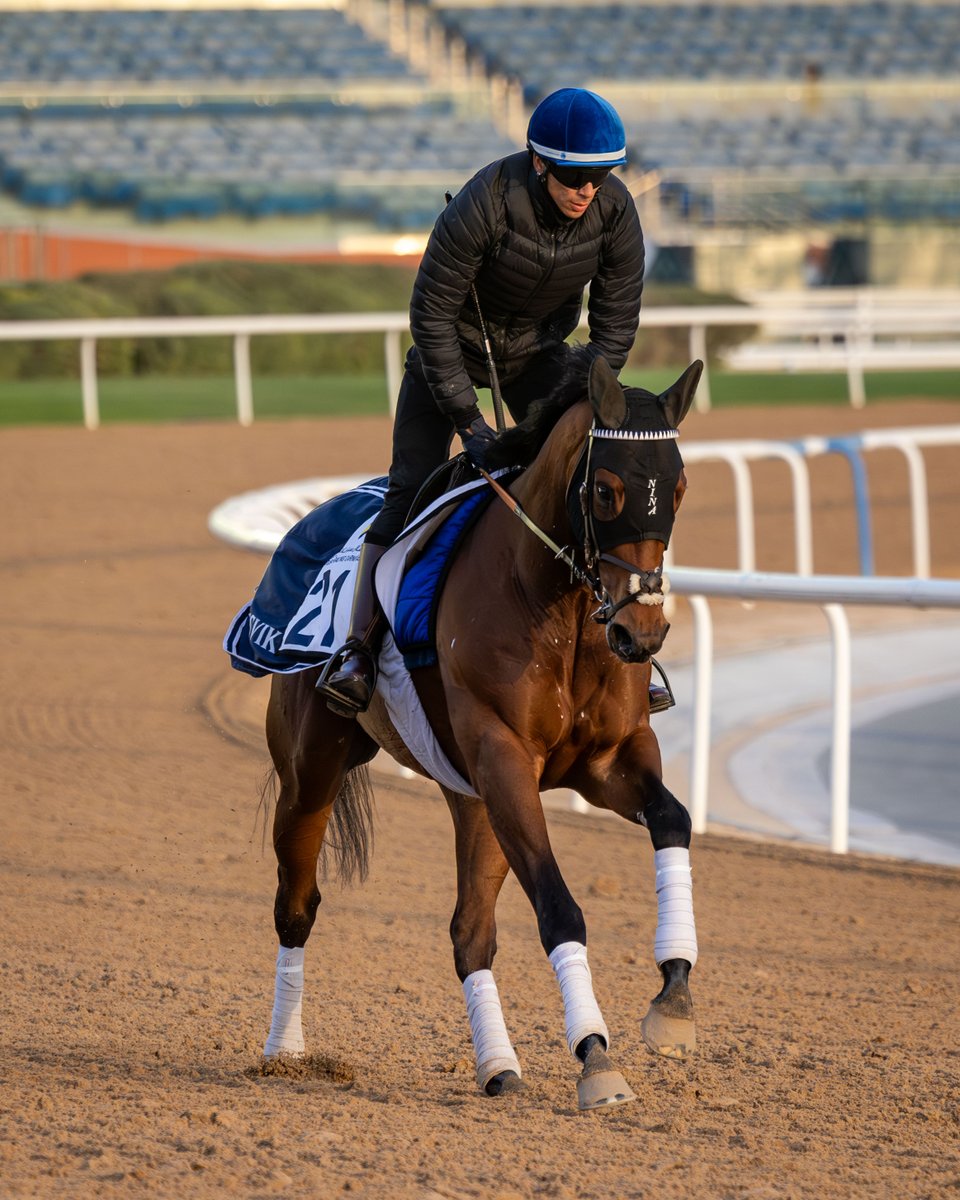 🗣️ "I still think a lot of him."

Trainer quotes and previews ahead of Friday's #DubaiCarnival card 👇

dubairacingclub.com/media/press-re…