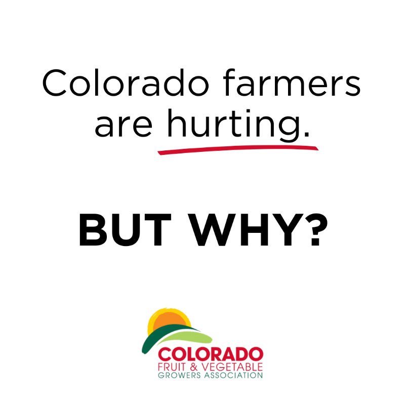 coloradoproduce's tweet photo. Farming is tough—but today’s policies and challenges make it even tougher. That's why we’re standing up for our state’s farmers, advocating to protect their futures, preserve our communities, and keep local, affordable produce on our tables. Support our farmers today!