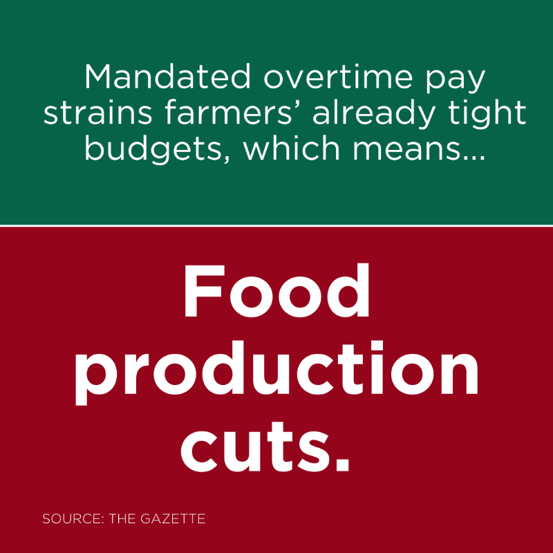 coloradoproduce's tweet photo. Farming is tough—but today’s policies and challenges make it even tougher. That's why we’re standing up for our state’s farmers, advocating to protect their futures, preserve our communities, and keep local, affordable produce on our tables. Support our farmers today!