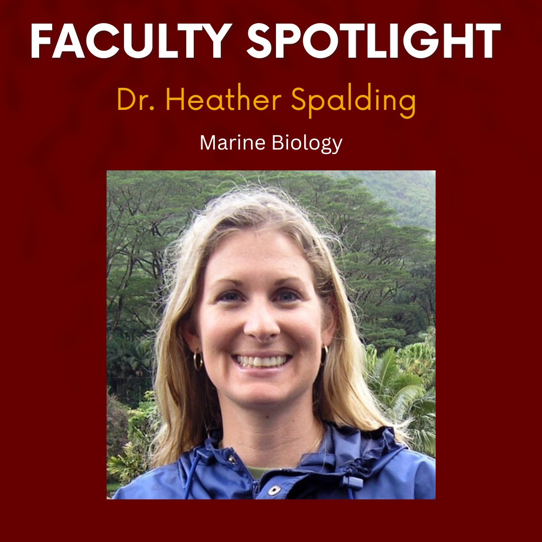Congratulations to Dr. Heather Spalding who was recently published in PLOS ONE along with former GPMB student Taylor Williams ! The paper, "Navigating uncertainty in environmental DNA detection of a nuisance marine macroalga", can be found here doi.org/10.1371/journa….