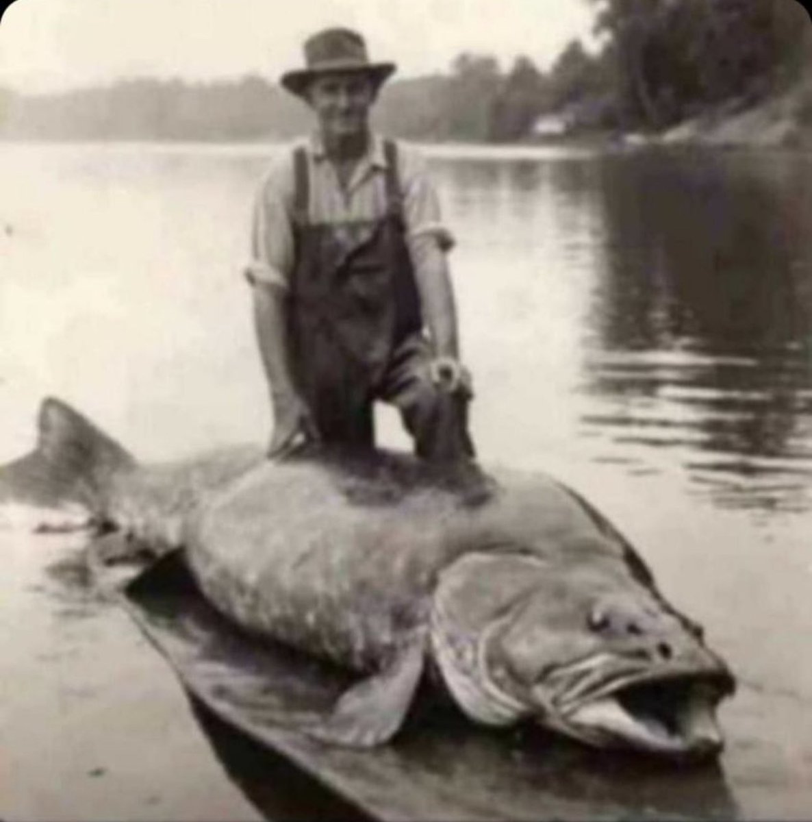 OlaTohCode's tweet image. Kin tie paro Gidigba kin da weray Je