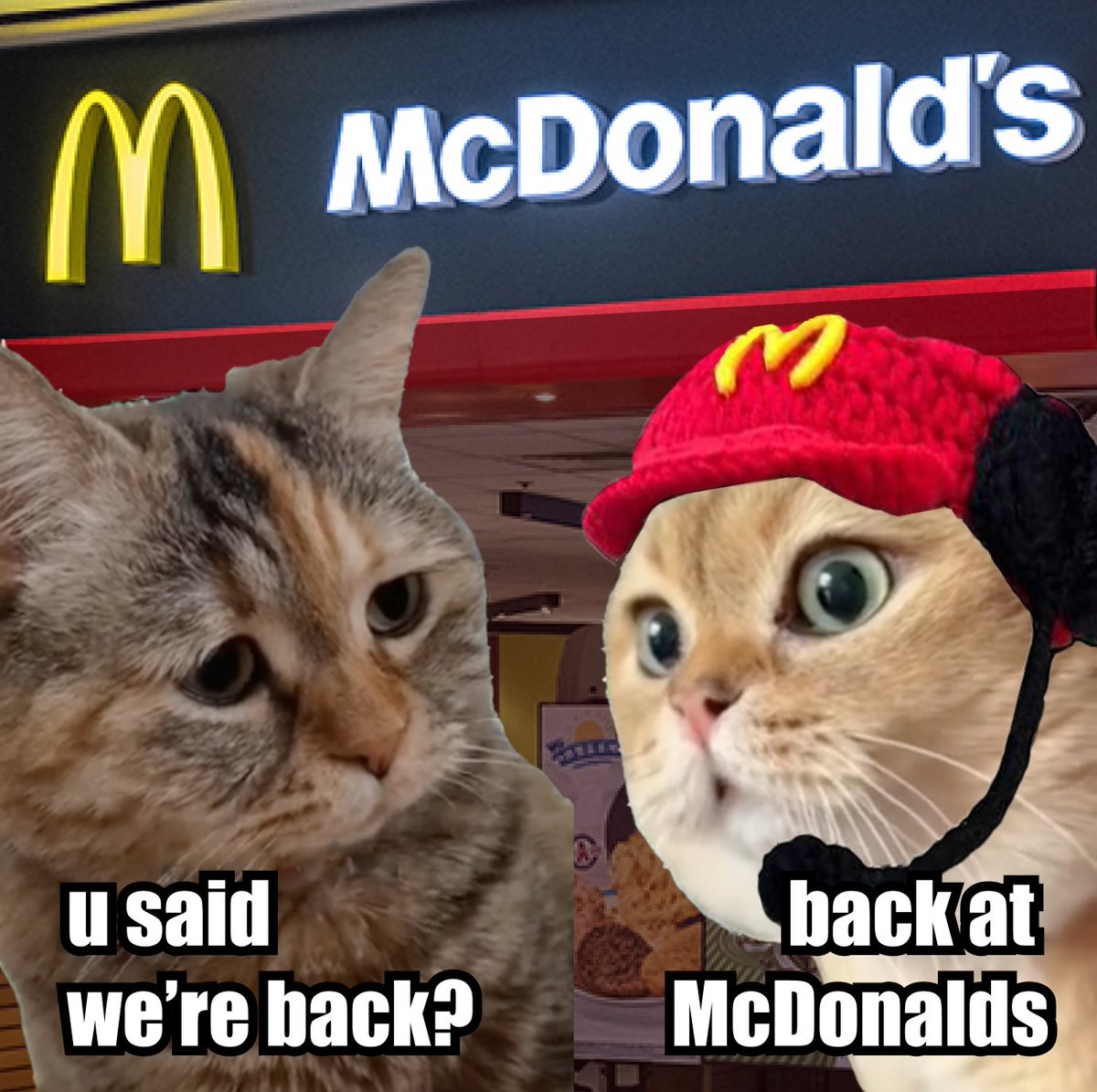 McCAT (@McCat_Coin) / Posts / X