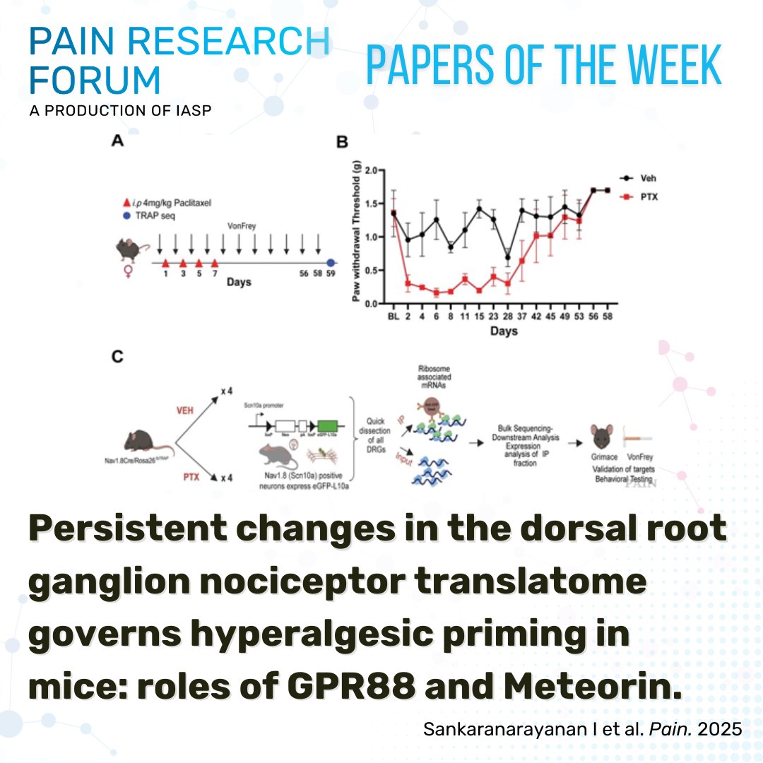 Pain Research Forum tweet media