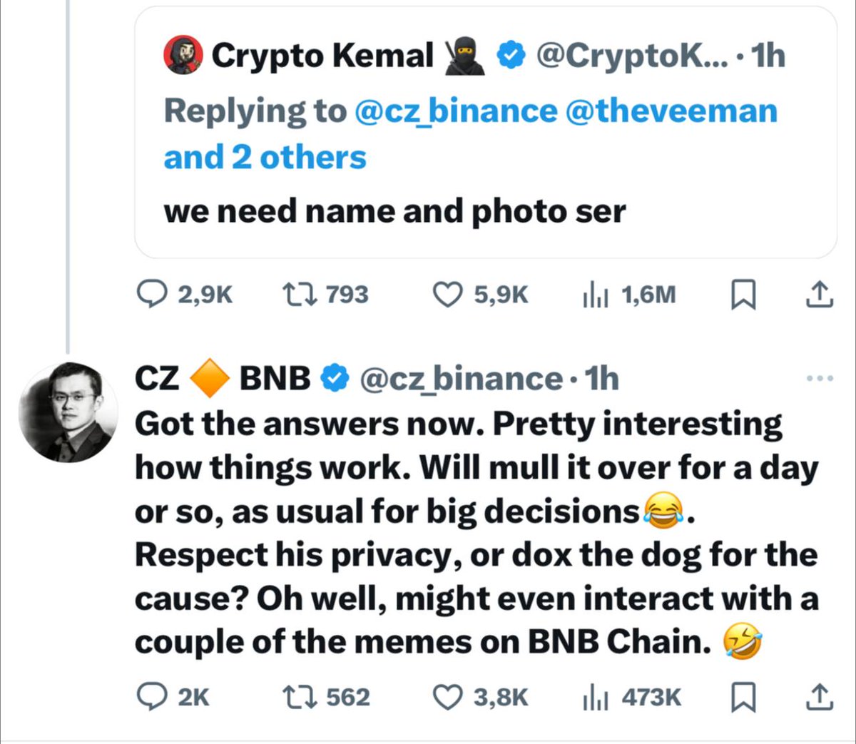 Kyle Chassé 🐸 tweet media