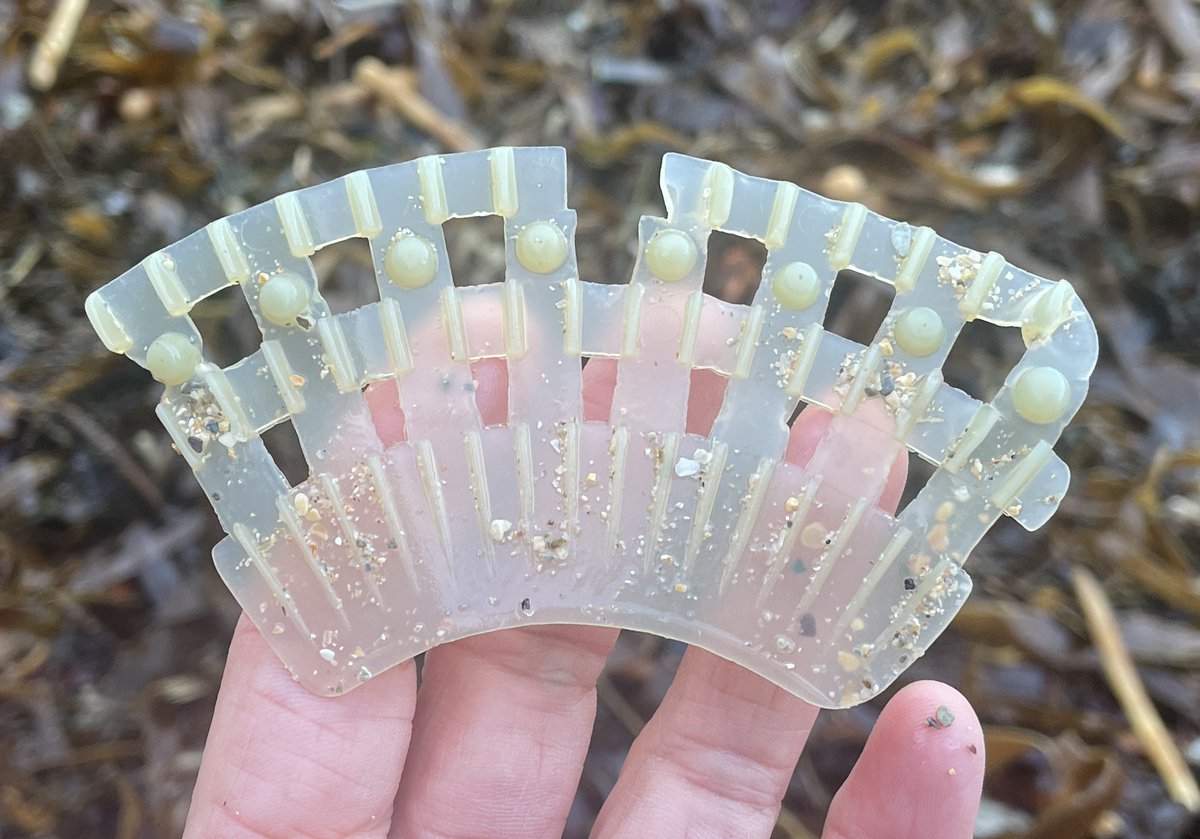 Lego Lost At Sea tweet media