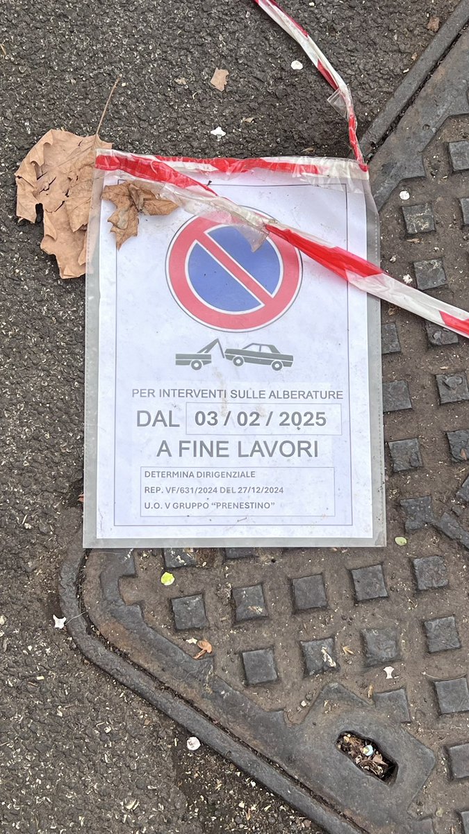 gianpa63's tweet photo. @MauroCaliste operazione meritoria,  il potare gli alberi in V.DalVerme, ma lasciare i resti in strada per più di 10 gg no! Non sarebbe stato più semplice utilizzare due mezzi: uno taglia l’altro raccoglie? Ne va di mezzo la sicurezza e il decoro. @ilmessaggeroit @PLRomaCapitale https://t.co/WCoc742nfU