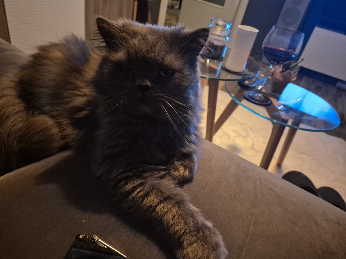 Ich wünsche euch einen wunderschönen Abend und Katerchen auch 😊🌜🍀🌸🫶.
Später dann eine gute Nacht und schlaft gut 🌜😴. 
Ich bin nicht so viel aktiv hier,  ich nehme mir Zeit für mich mit weniger online.