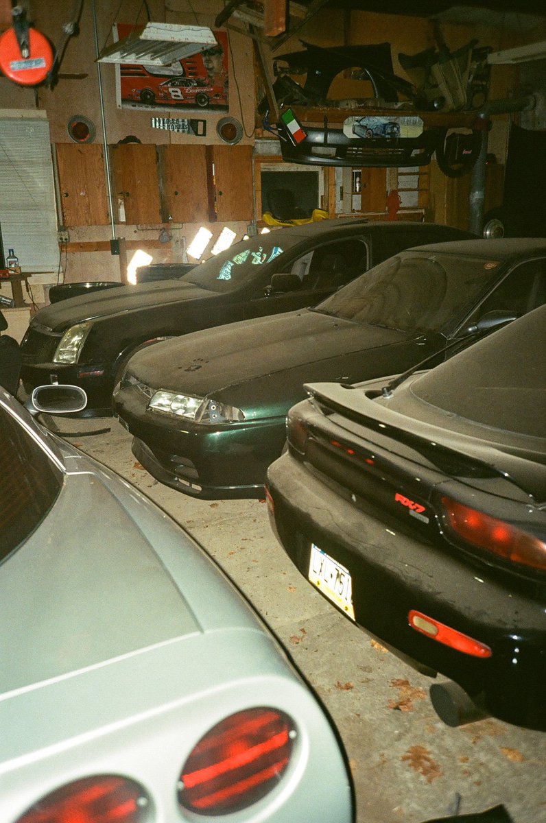 P🌴🦈 tweet media